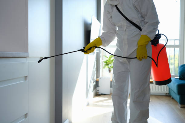 Best Residential Mold Removal  in Williston, FL