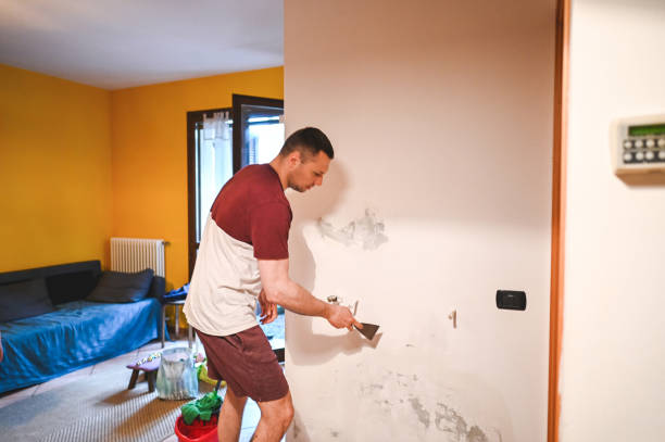 Best Office Mold Removal Services  in Williston, FL