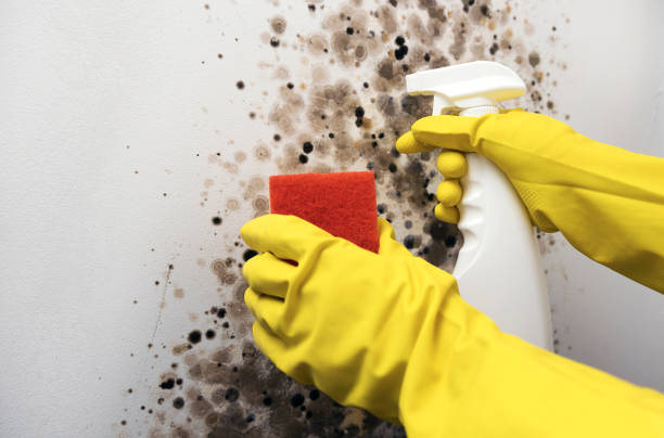 Water Damage Restoration in Williston, FL
